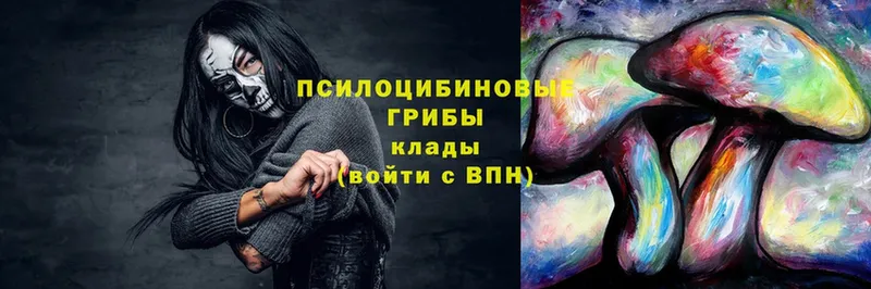 Псилоцибиновые грибы мухоморы  Чистополь 